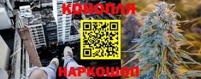 спиды Шахты