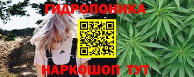 спиды Шахты
